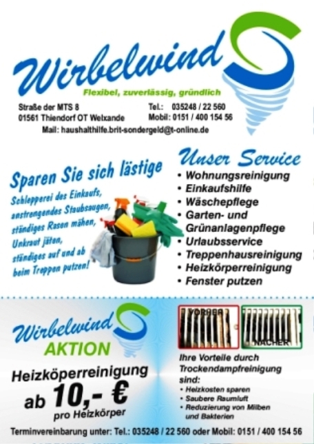 Heizkörper-Reinigung